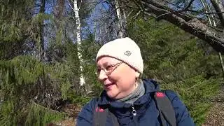 Нашли новый бомбический лес, релакс у костра, подснежники, пение птиц.