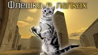 Флешка в лапках | cs 1.6 | Монтаж