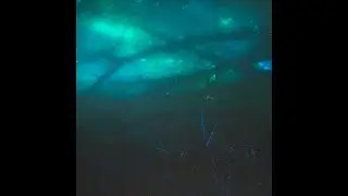 ♱free♱ autumn x sofaygo x ninexteen type beat - “whopper”