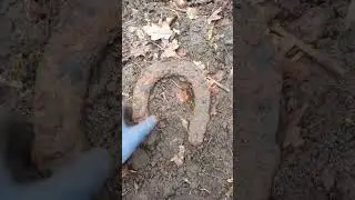 арийская лошадка