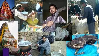 #देवभूमि...#हिमाचल के पहाड़ो में, बकरे की बलि!!आपने ईष्ट देव को ऐसे देते हैं!!