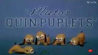 Pluto,Mickey mouse,DONALD DUCK Disney