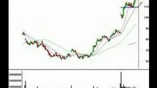 Bulls and Bears Make Money, Greedy Pigs Get Rich