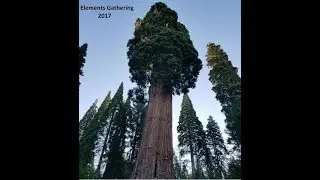 Elements Gathering 2017