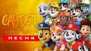 ТОП 10 ПЕСЕН ПАРОДИЙ ПРО ЩЕНЯЧИЙ ПАТРУЛЬ | ПЧЕЛОВОД КАДИЛЛАК ГОНЩИК СКАЙ РАЙДЕР МАРШАЛ ЭВЕРЕСТ РОККИ