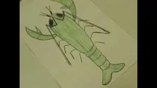 Рисуем быстро и просто Как нарисовать рака