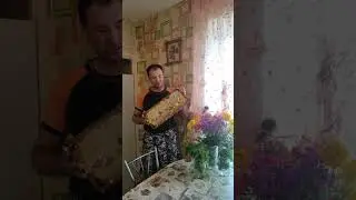 Поздравление с Медовым Спасом! #пчеловодство #shorts  #медовыйспас