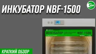 Инкубатор NBF-1500. Краткий обзор.