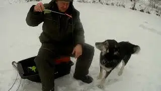 В поиске рыбы на малой речке. Ч .2