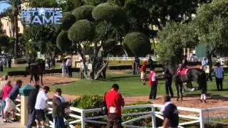 GET IN THE GAME - PADDOCK