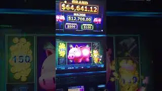 OUTSTANDING PIGS!!! 