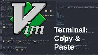 gVim Terminal copy and paste