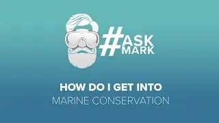 How Do I Get Into Marine Conservation | 