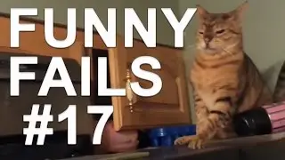 Cats Funny Moments with sound effects - compilation