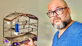 Mostrei a fêmea de manhã ao papá capim baiano deu nisso