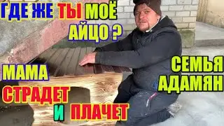 Семья Адамян где моё яичко, мама страдает и плачет \ Saveliy Ad - Самвел Адамян, Эдик Адамян