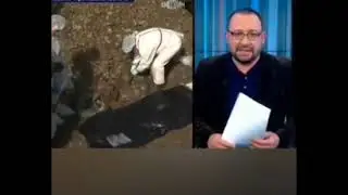 преступления против мирного населения убийцами всу украины