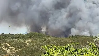 Boskell - 2 Wild fires!!! Still smoking but safe. 29/30th July 2022. Madrigal de la Vera, Spain