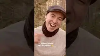 Кулинарные истории и факты