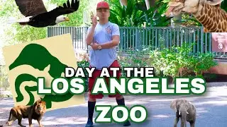 Day At The L.A Zoo