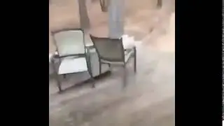 УПАЛА КОЗА! РЖАКА! ИСПУГАЛ КОЗУ! КОЗА И ЛЕСТНИЦА!