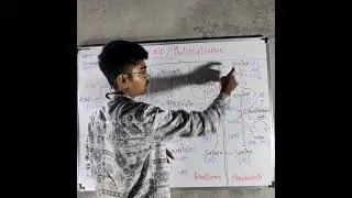 C2 Cycle also called Photorespiration 