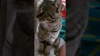 во время ссоры...