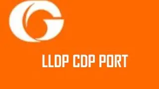GigaVUE® LLDP CDP Port Discovery