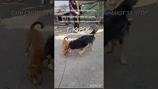 26 .09.24г