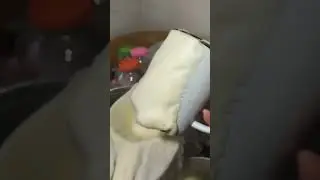 Дойка после отёла#shorts# Молозиво#Как его готовят