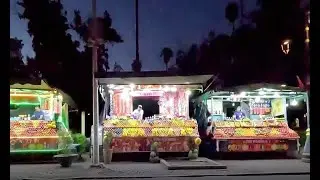 Horse drawn carriage tour around Marrakech, Morocco