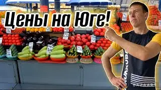 #Новороссийск