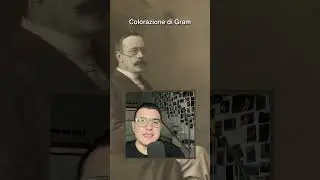 Batteri Gram-Positivi e Gram-Negativi