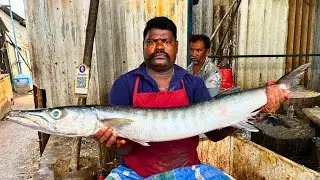 KASIMEDU SPEED SELVAM SHEELA BARRACUDA FISH CUTTING VIDEO CUTTING FOCUS