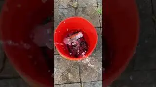 Biggest lawn care hack out there #dslawnandlandscape #mindblown