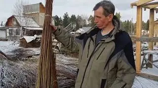 Черенки сортовой ивы от Willow Club
