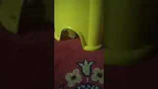 кот меня напугал😨