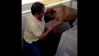 Einstein ha llegado a Barcelona