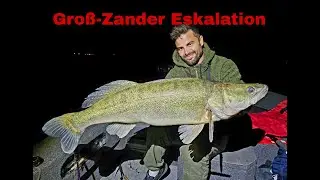 KNACKEN wir den ZANDER PB | BIGFISH auf BIGFISH