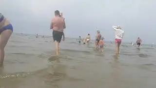 Анапа  Море  Песчаный пляж  Лебеди. Мама и Оля Переезд на юг