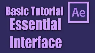 User Interface l After Effects Basic Training Lesson 2