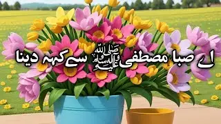 Ae Saba Mustafa Se Keh Dena | Slowed and Reverb|