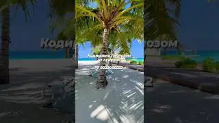 Избавление от никотиновой зависимости 