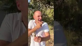 Очень вкусное мороженое #shorts от DimaVika