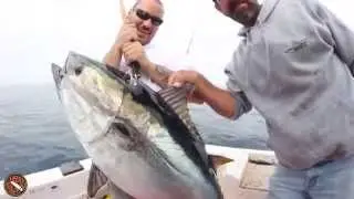 Offshore Bluefin - Mackerel Bank