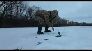 Щука на жерлицу