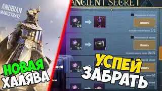 САМАЯ АКТУАЛЬНАЯ ХАЛЯВА В PUBG MOBILE! НОВАЯ ХАЛЯВА В ПУБГ МОБАЙЛ!