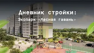 Дневник стройки Экопарк "Лесная гавань". Май 2024