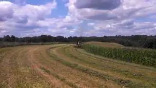 Chopping 2nd crop with the 1256