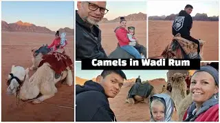 Camels, a Geo Dome, and Hiking in Wadi Rum